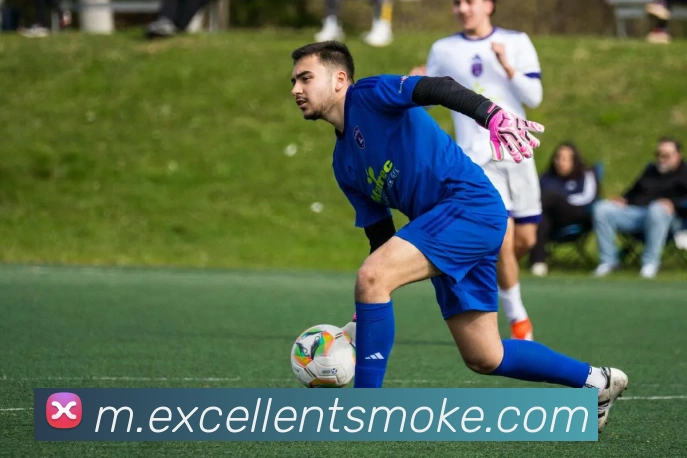 3377体育官网服务体系